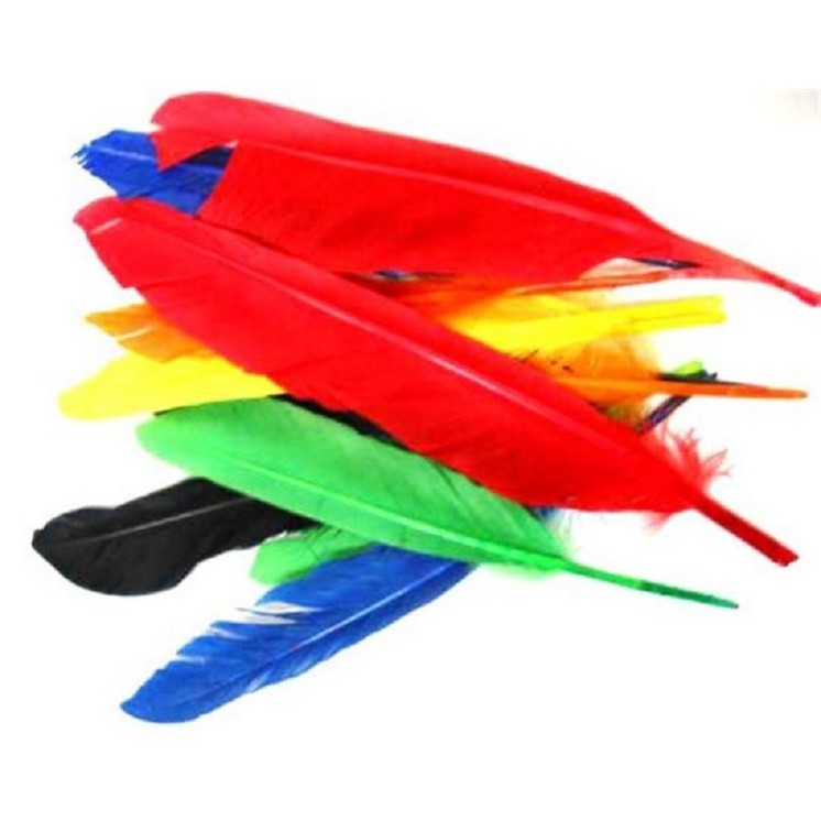 Sachet de 12 Plumes d' Indien à la couleur ou assortis