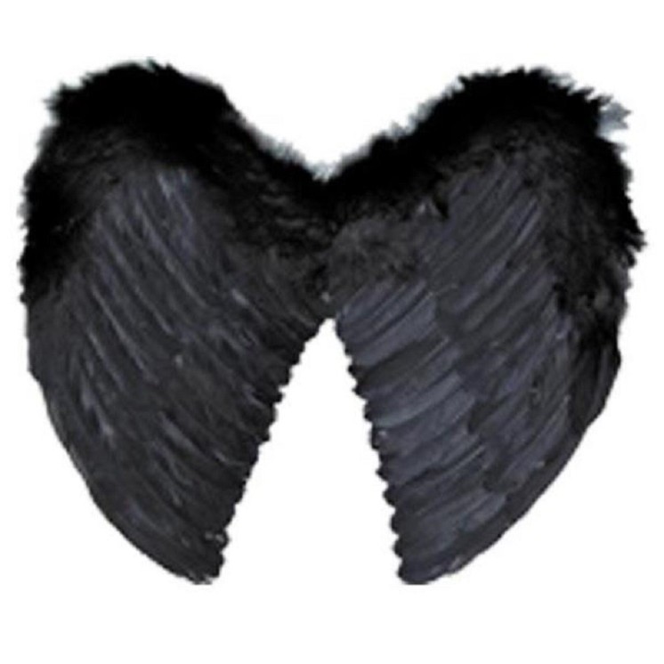 Ailes d'ange noire en plumes, Halloween, Diablesse, Satan, Ange maléfique