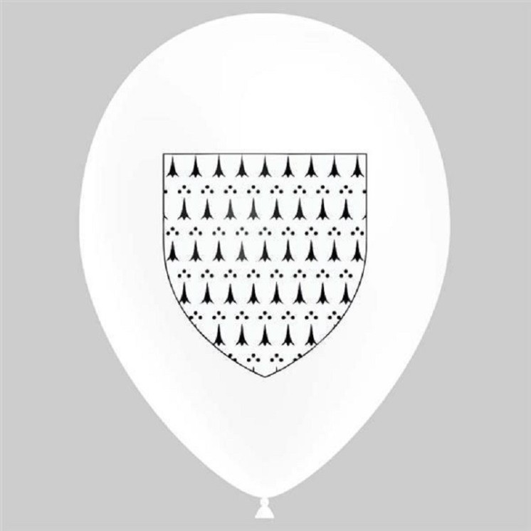 Pochette de 25 Ballons Ø30cm "Blason Bretagne" (Imprimé 1 face)
