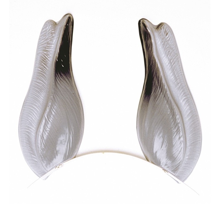 Oreilles d' Ane sur serre tête