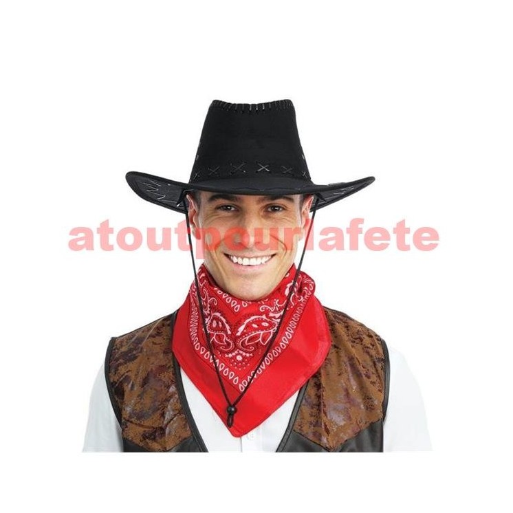 Chapeau Cow boy suédine