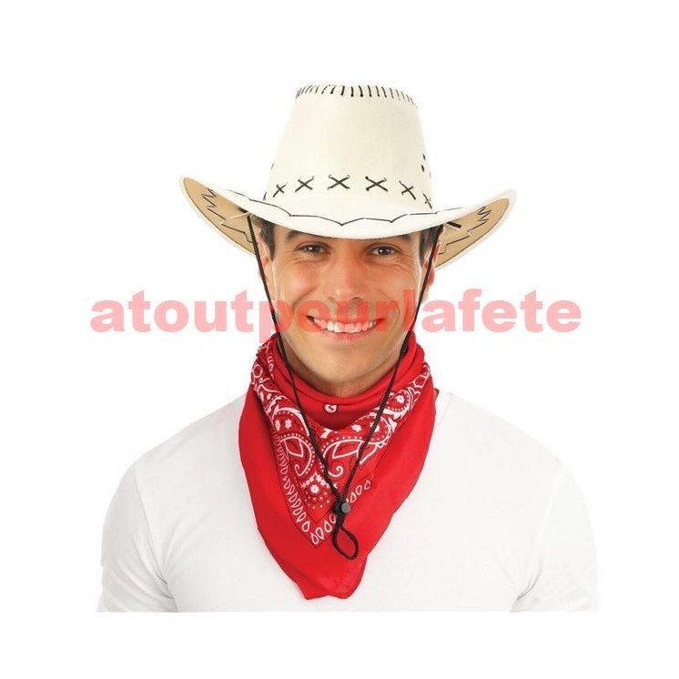 Chapeau Cow boy suédine (8 coloris au choix)