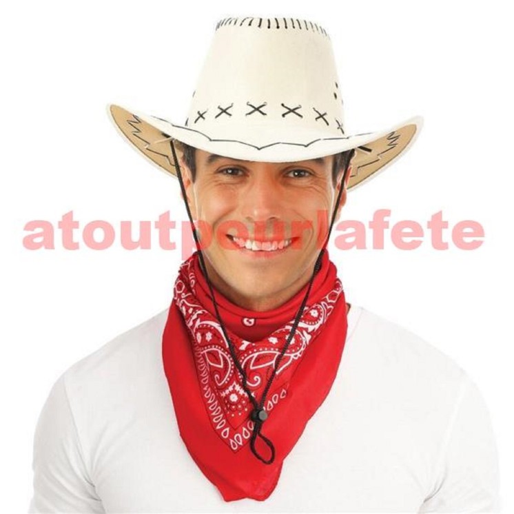 Chapeau Cow boy suédine