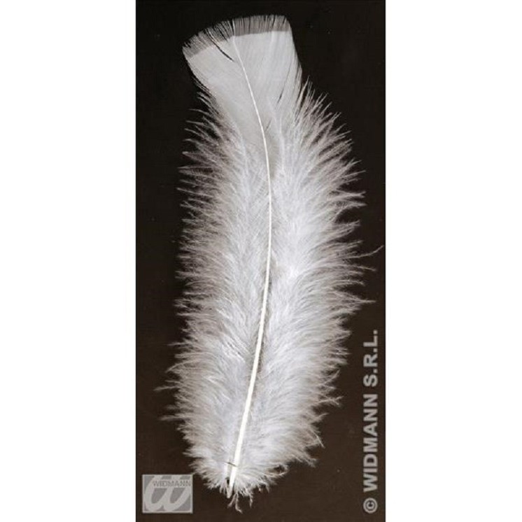 Plumes Blanches 10cms (palette de dinde) (sachet de 50)
