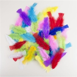 Plumes multicolore 10cms (palette de dinde) (sachet de 50)