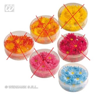 Boite de 20 paquerettes bleue decorative )