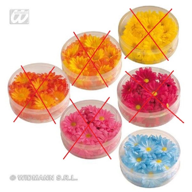 Boite de 20 paquerettes bleue decorative )
