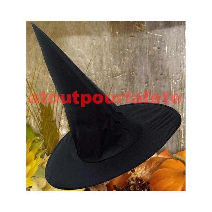 Chapeau de sorciere pour deguisement d' Halloween