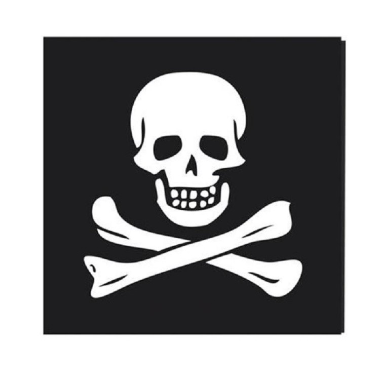 Lot de 12 serviettes "Pirate" 33X33cms