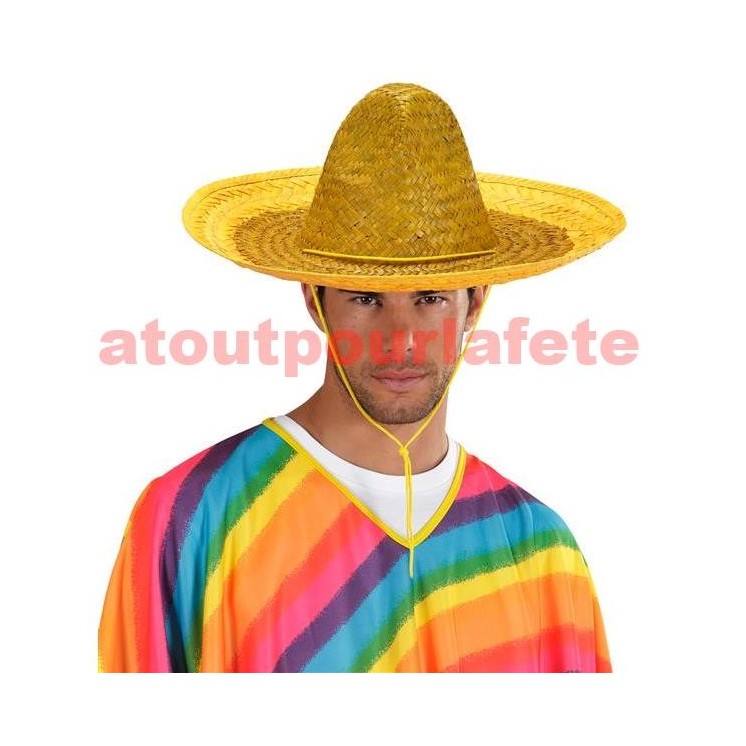 Sombrero mexicain couleur (48cms)